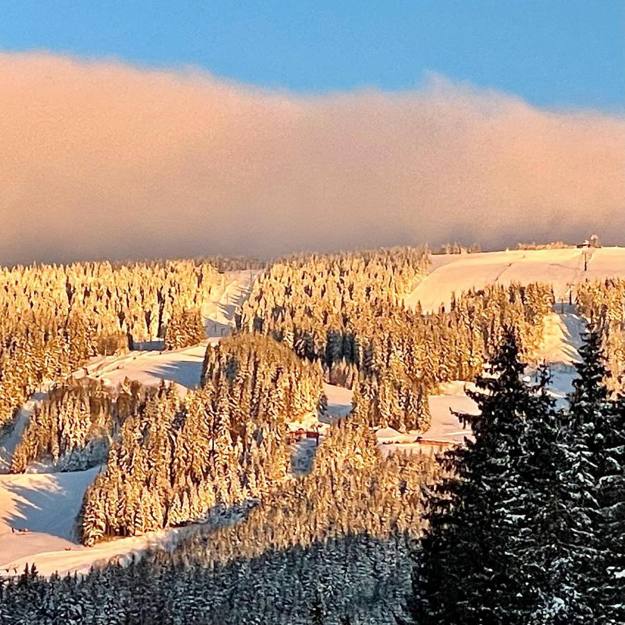 Kubinska Hola - Apartmany Hillside Point Dolny Kubin Bagian luar foto